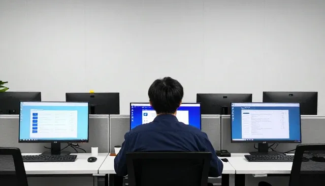 定制化方案如何推动企业价值的持续增长